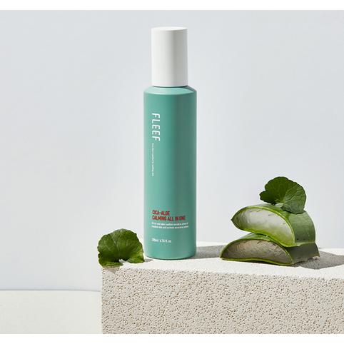 Flip Cica Aloe Beruhigendes All-in-One