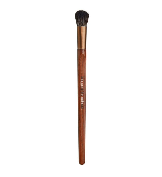 Pincel vegano para sombras de ojos, demasiado genial para la escuela