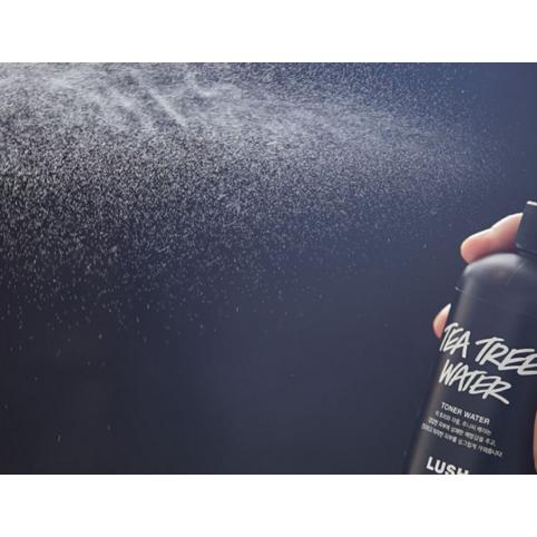 Lush Skincare Mask of Magnaminty Face & Body Mask 125g + Tea Tree Water Toner 100g Set