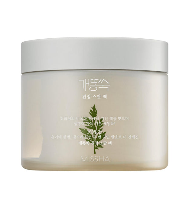 Missha Wormwood Soothing Spot Pack 225ml