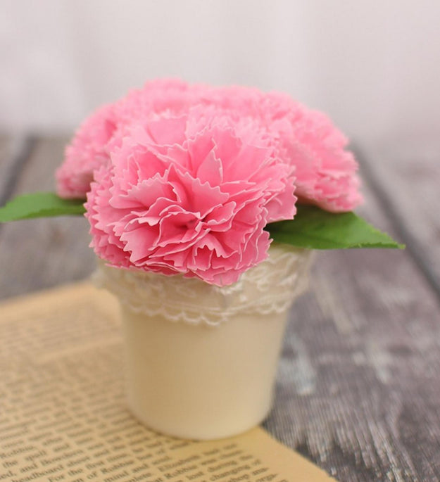 Saponetta Shining Day Carnation Pot