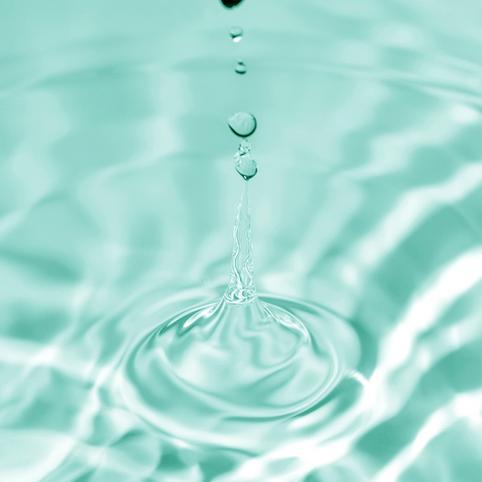 Mediheal Tea Tree Biome Blemish Cica Toner