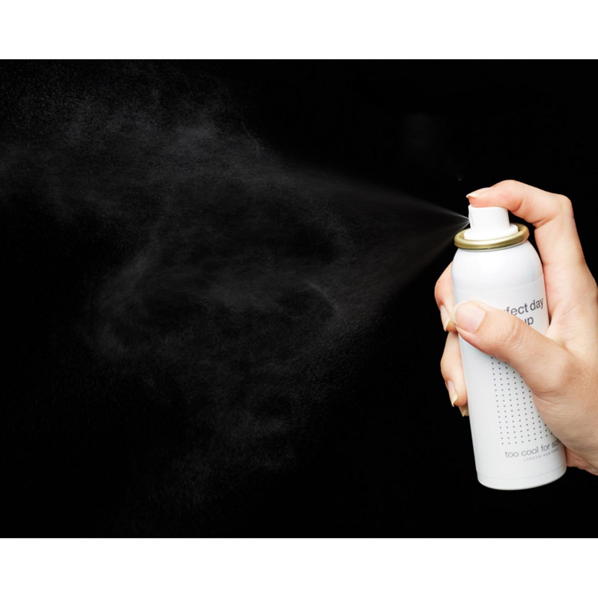 trop cool pour l'école Perfect Day Makeup Fixator