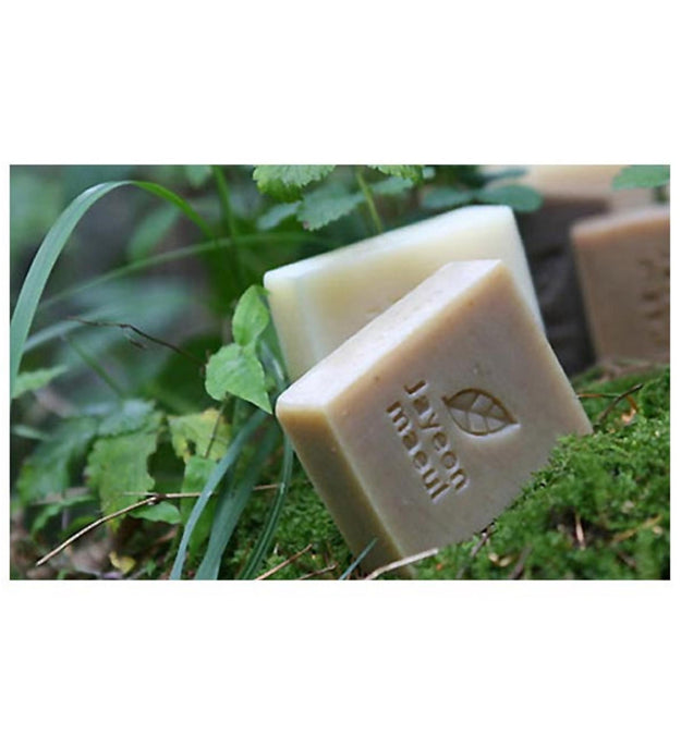Nature Village Eoseongcho Soap