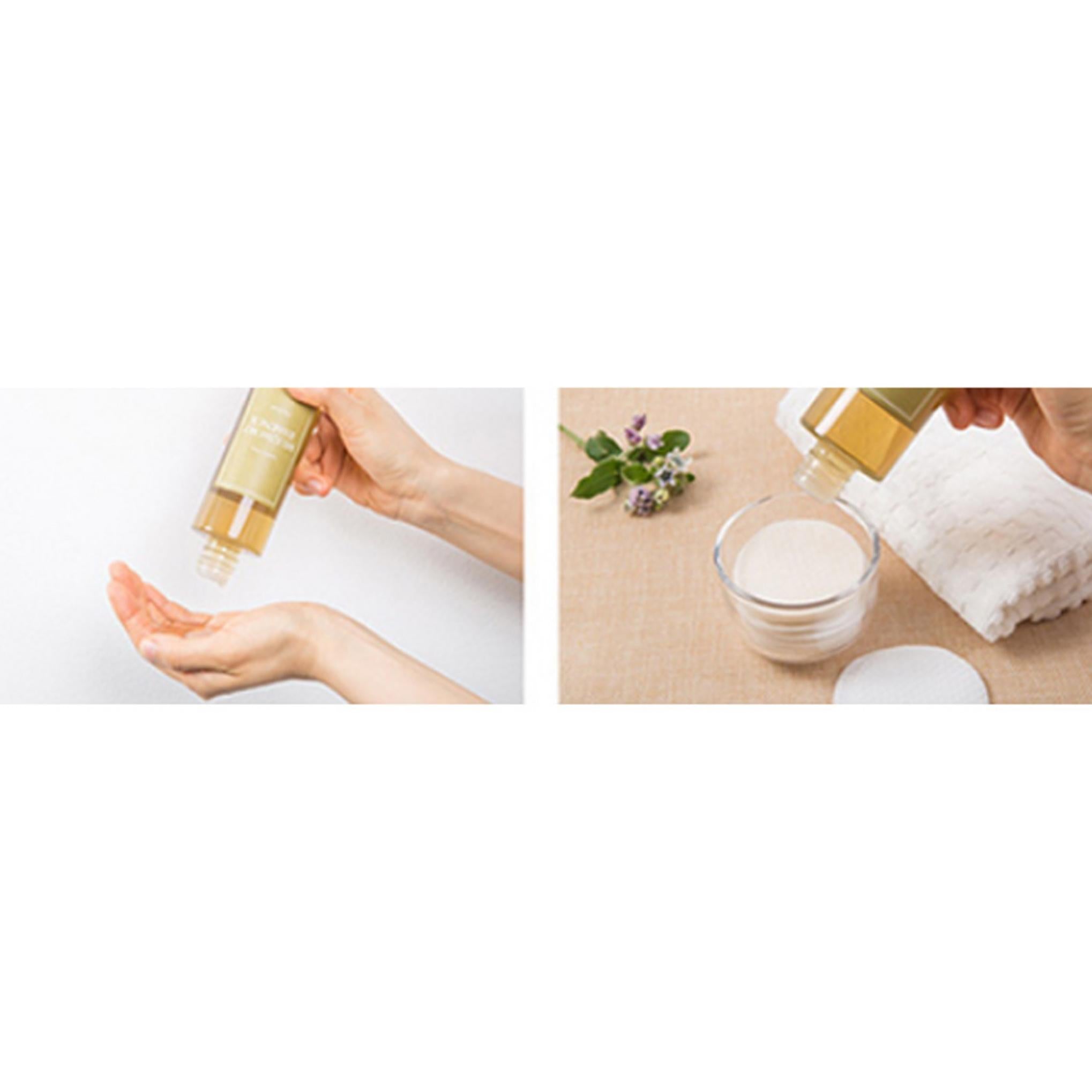 Vengo dall'essenza di Artemisia