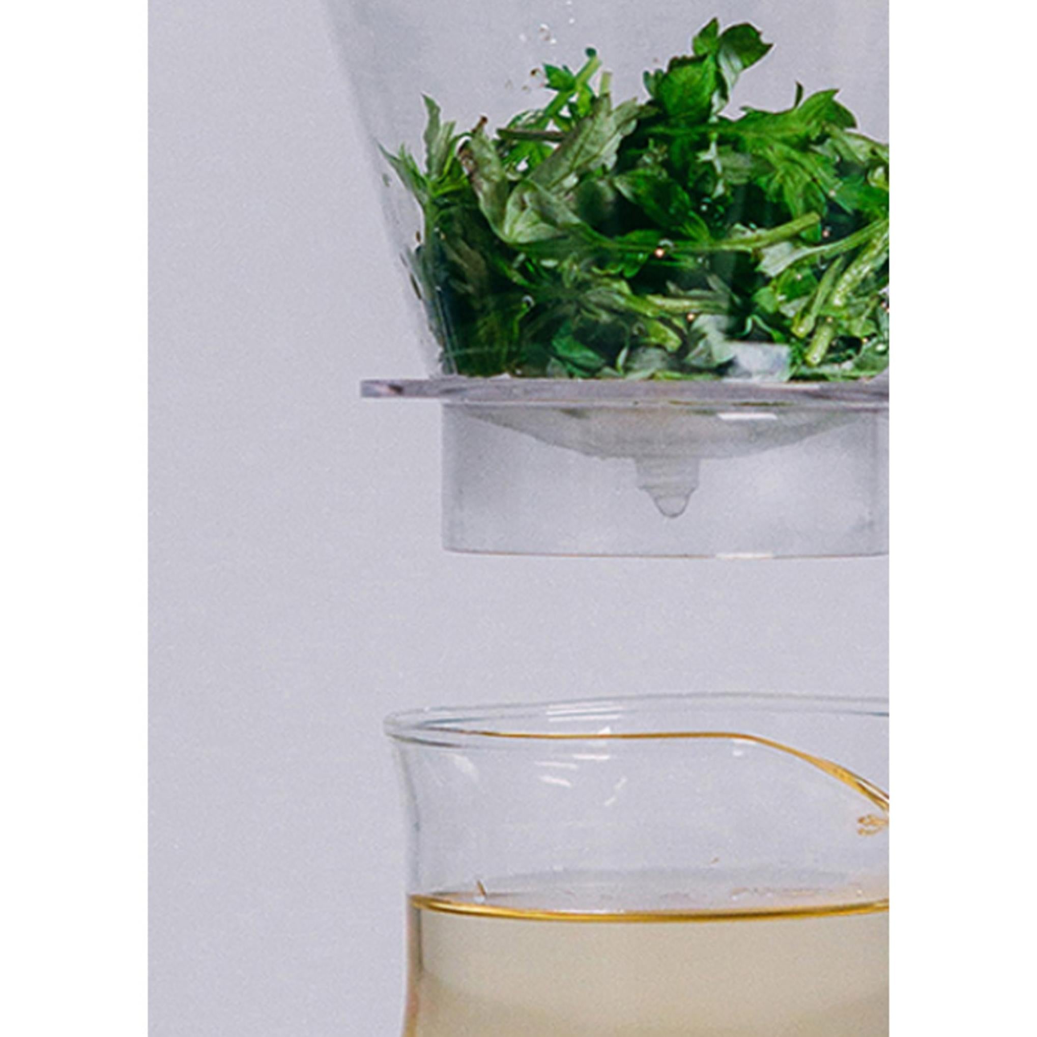 Vengo dall'essenza di Artemisia