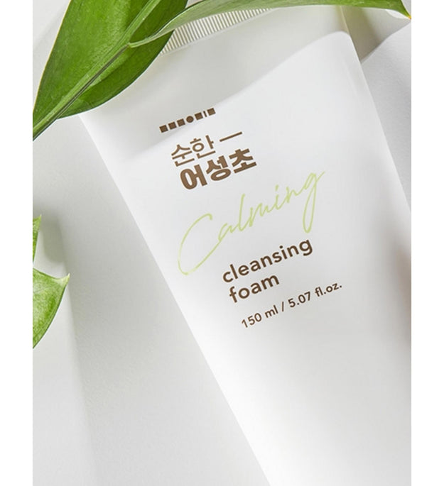 Hanskin Mild Eoseongcho Cleansing Foam GH990807