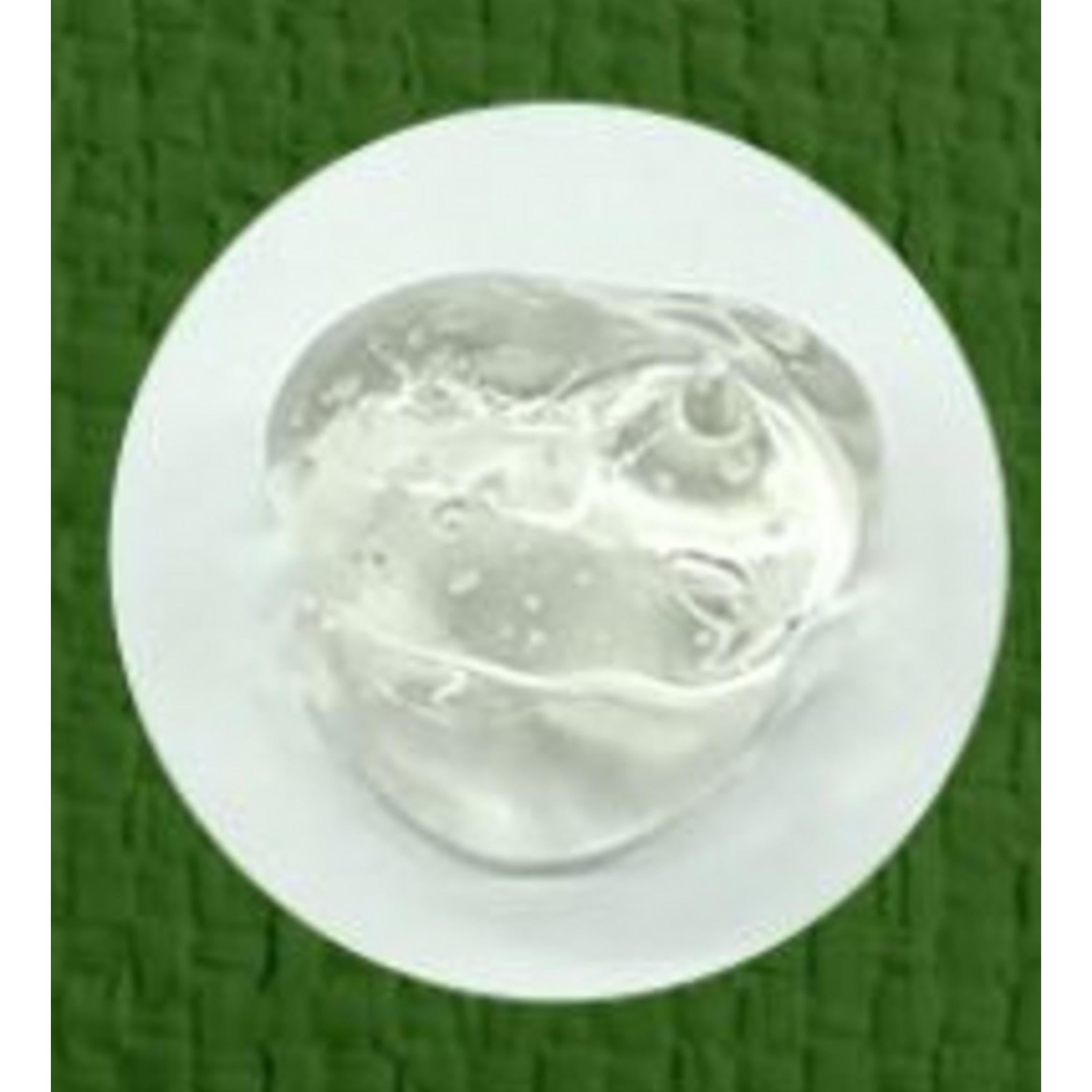 Eveever Aloe Vera 100% Soothing Gel