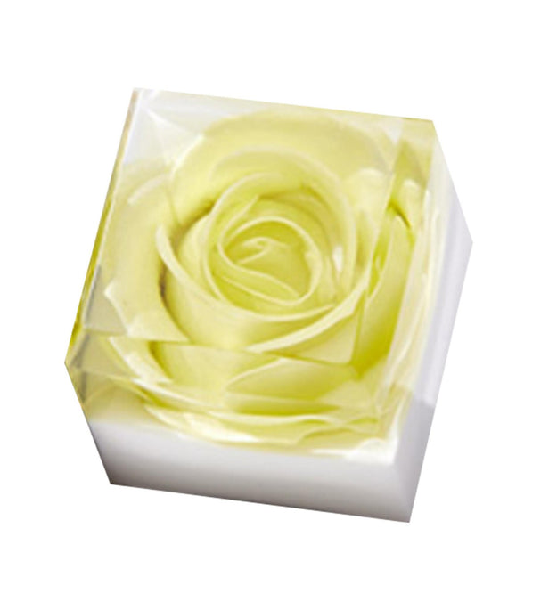 Pla Pla Cubic Flower Cleansing Handmade Soap Pastel Green