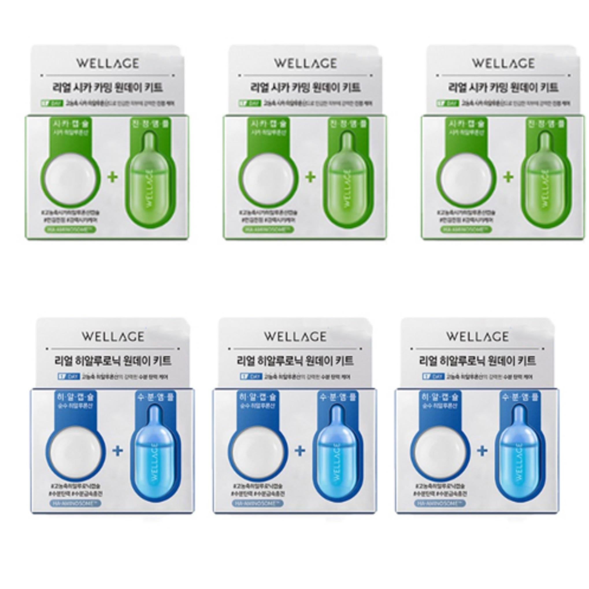 Wellage One Day Kit Ampoule Cica Calming 3p + Hyaluronic 3p Set
