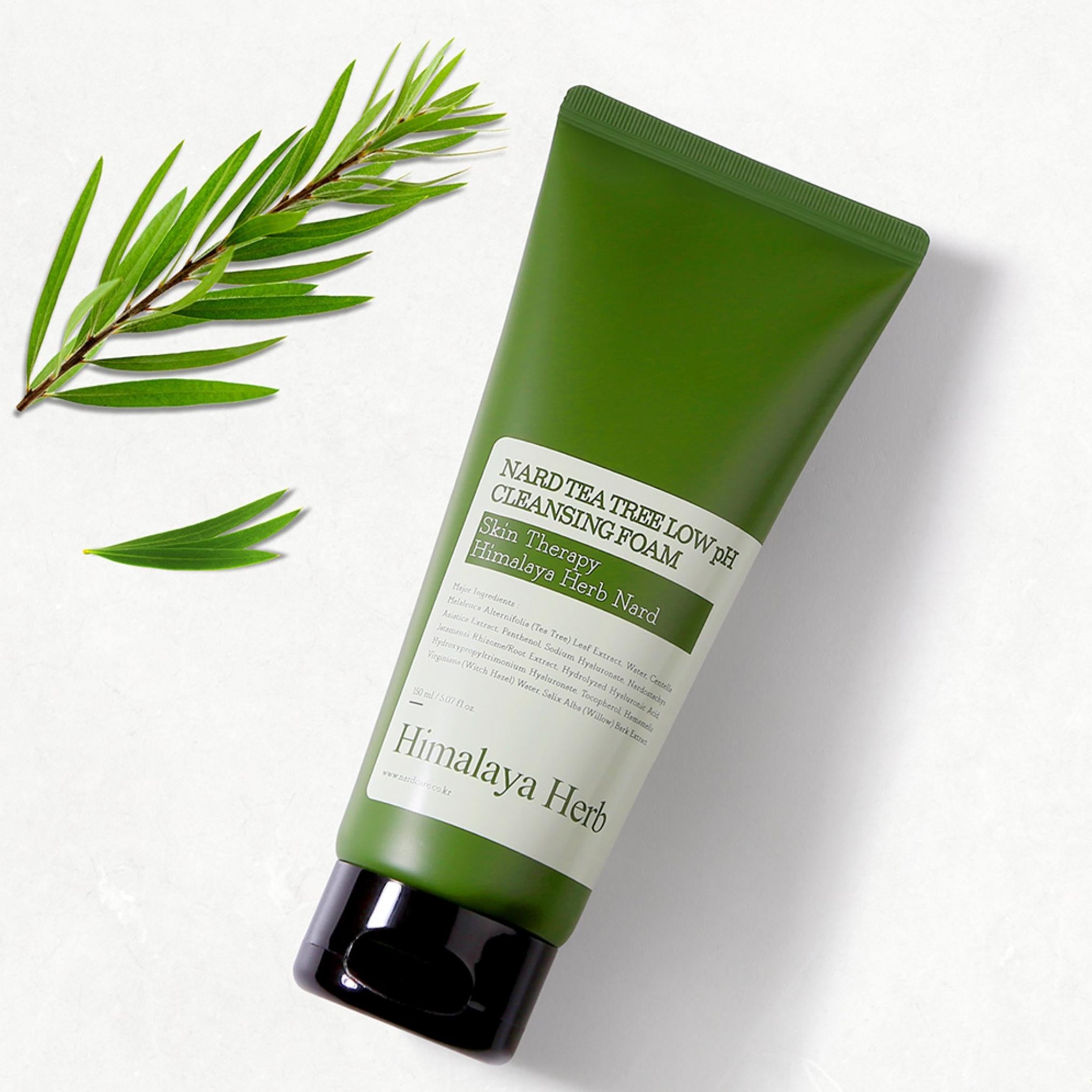 بوكيه غارني نادي رغوة تنظيف حمضية معتدلة بشجرة الشاي