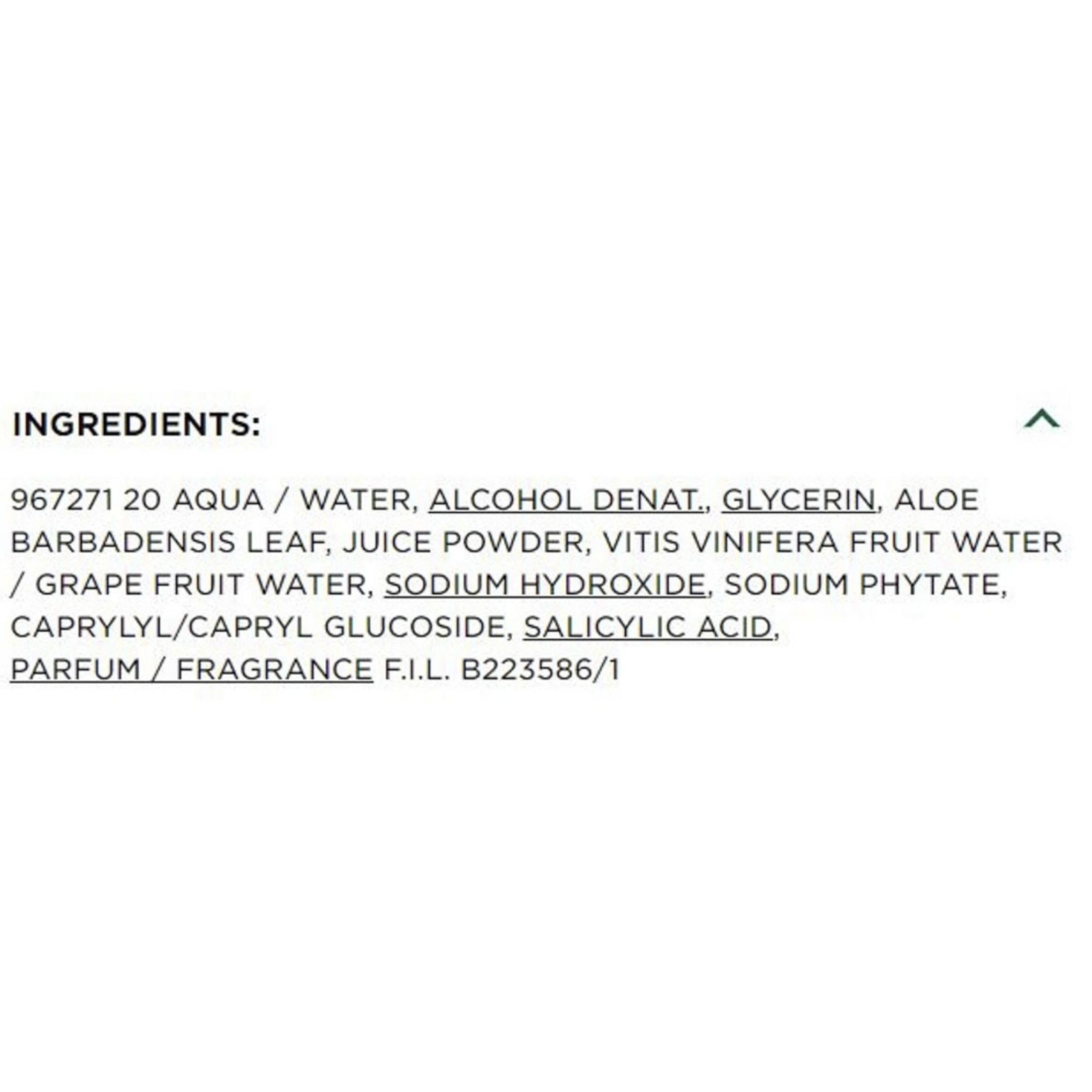 Garnier SkinActive Hydrating Facial Mist Aloe Juice