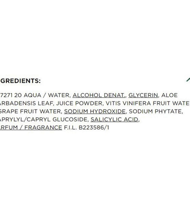 Garnier SkinActive Hydrating Facial Mist Aloe Juice