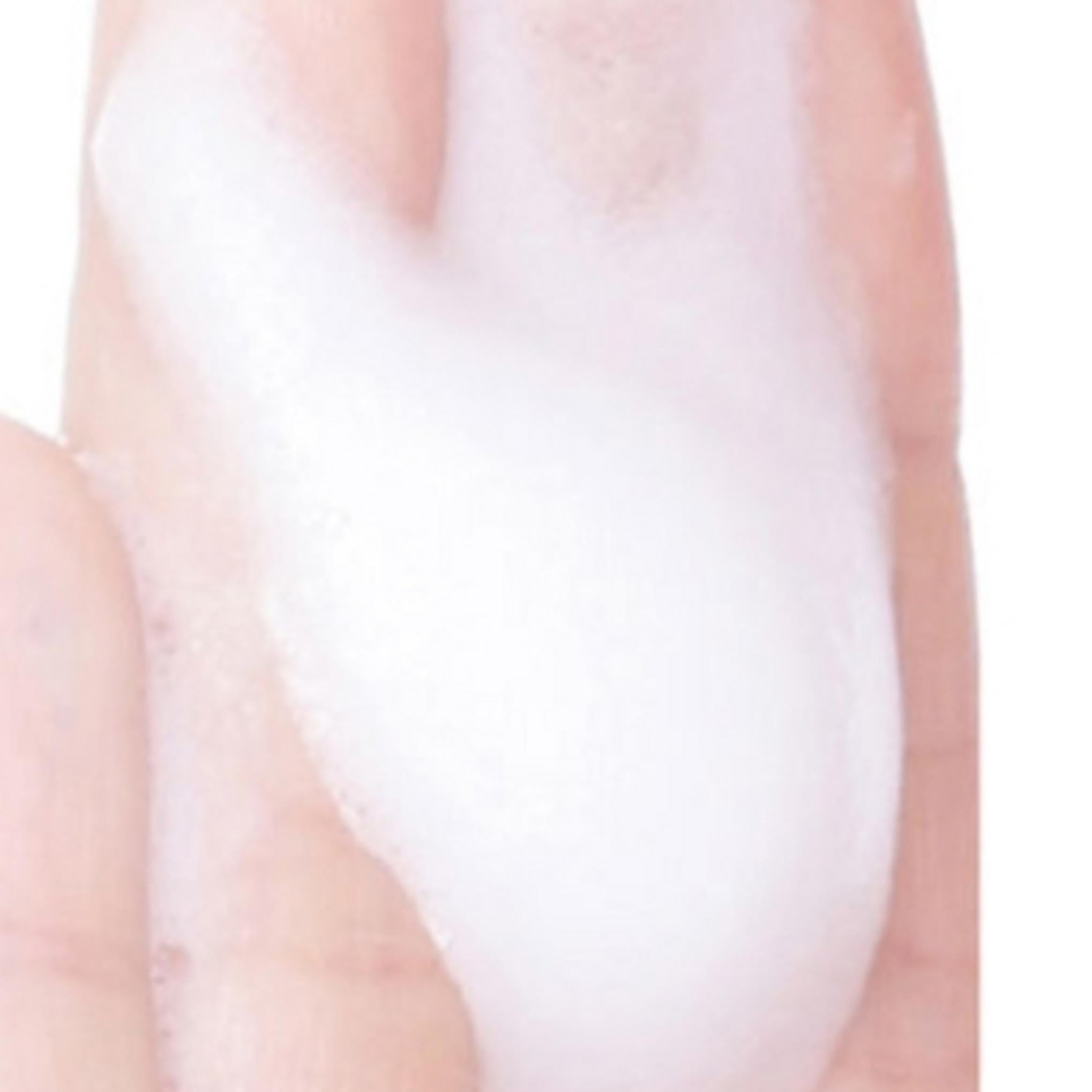 ANJO Professional Daily Moisture Foam Limpeza Damasco