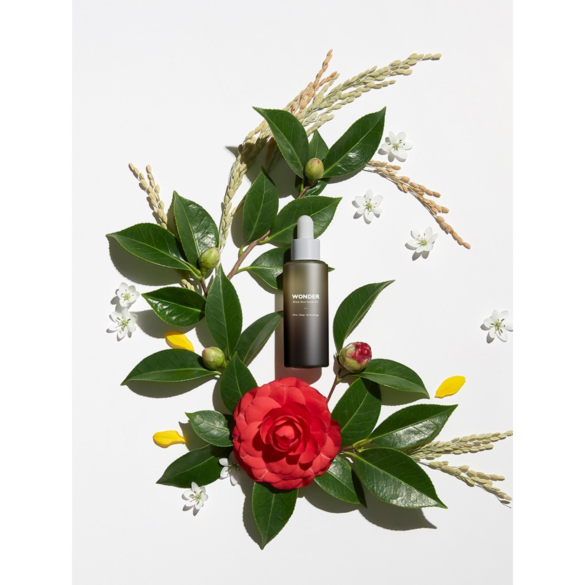 Haru Haru Tonico Riso Nero Wonder 150ml + Olio 10ml + Dischetto di Riso Super Adesivo 50pz + Kit Campione Detergente 2pz Set