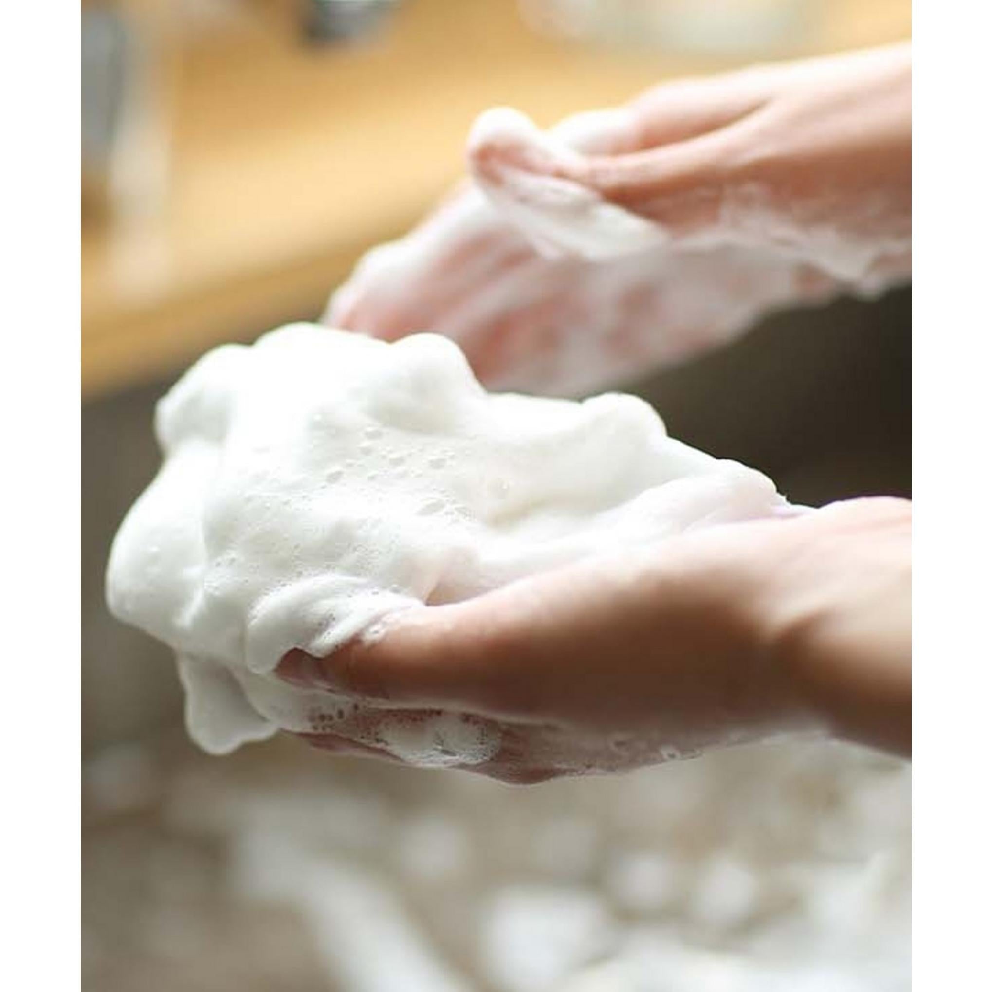 Holika Holika Among Us Daily Fresh White Rice Cleansing Foam