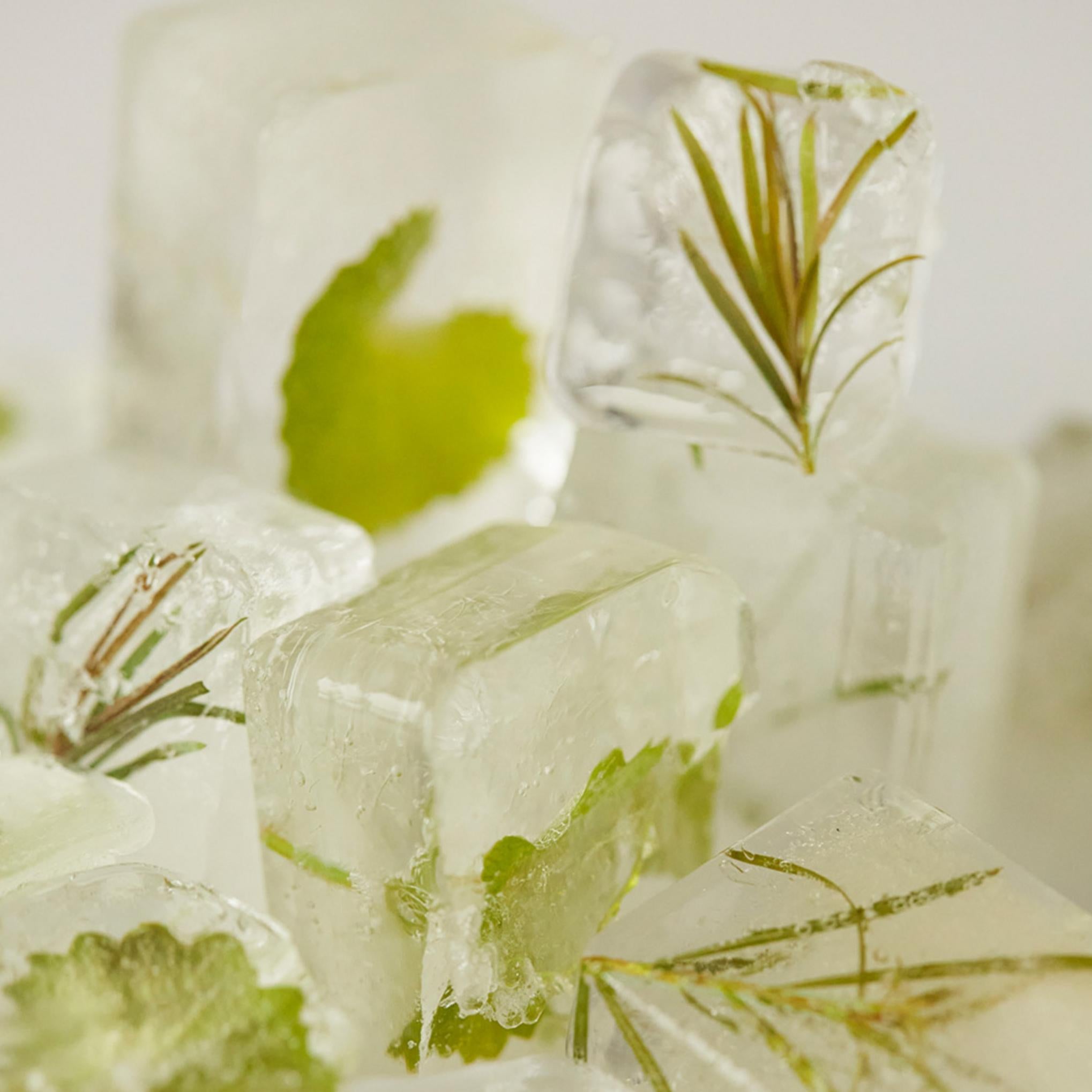 Paparecipe Tea Tree Control Cica Ampoule