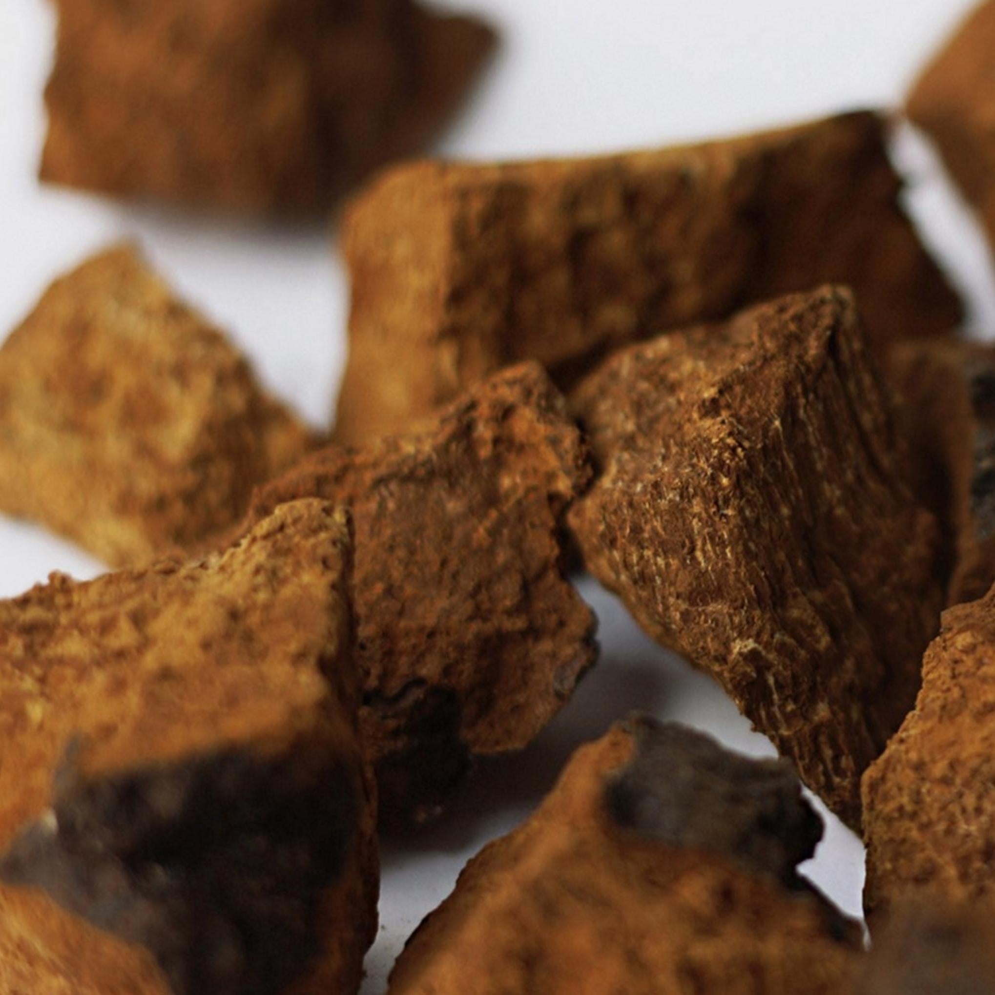 Epilow Chaga Mushroom Biome Texture Ampoule 50ml