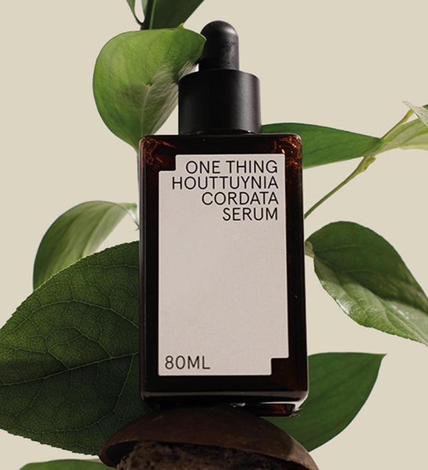 One Thing Eoseongcho Serum