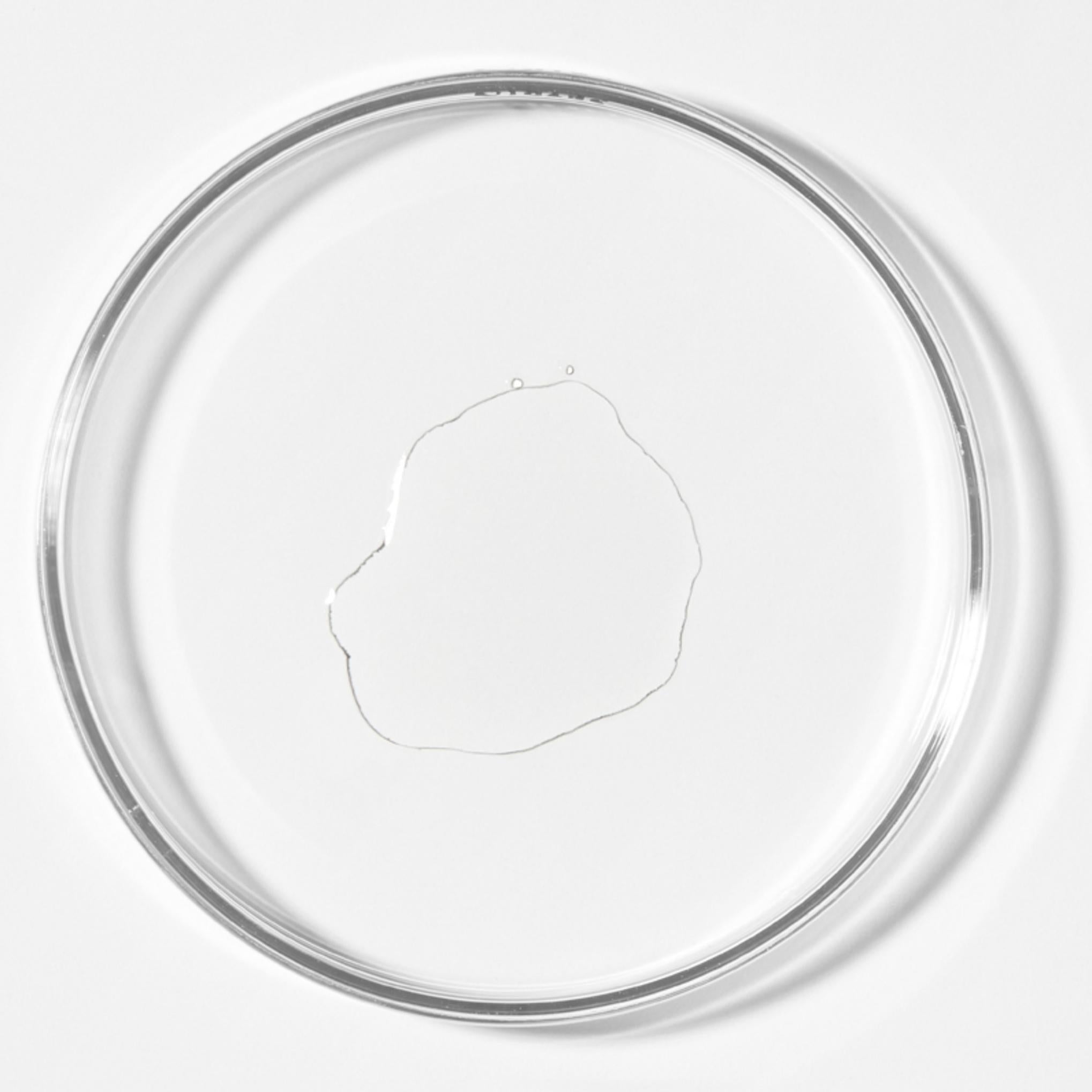 Herb Notes AHA BHA PHA Tónico Purificante Refrescante