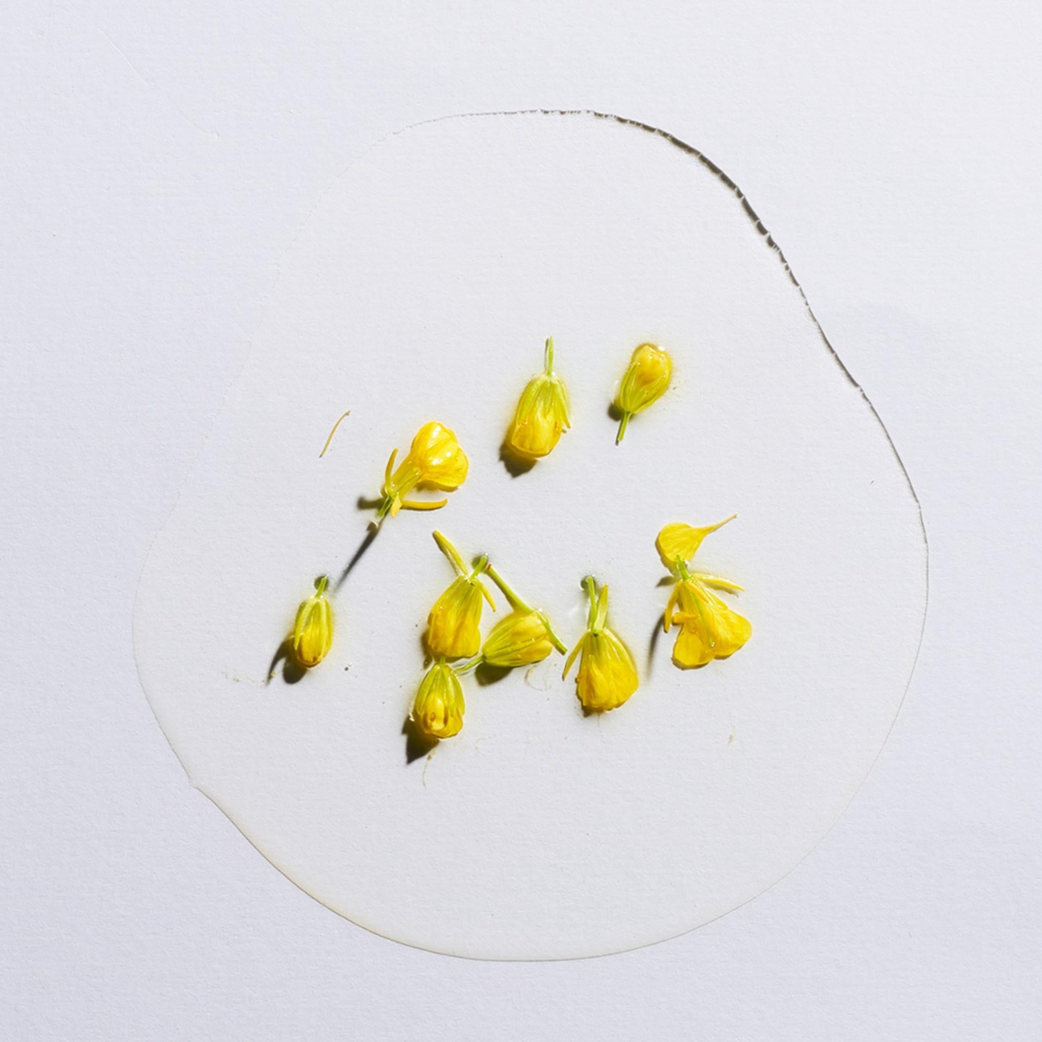 Warder Skin Olio essenziale per la pulizia profonda