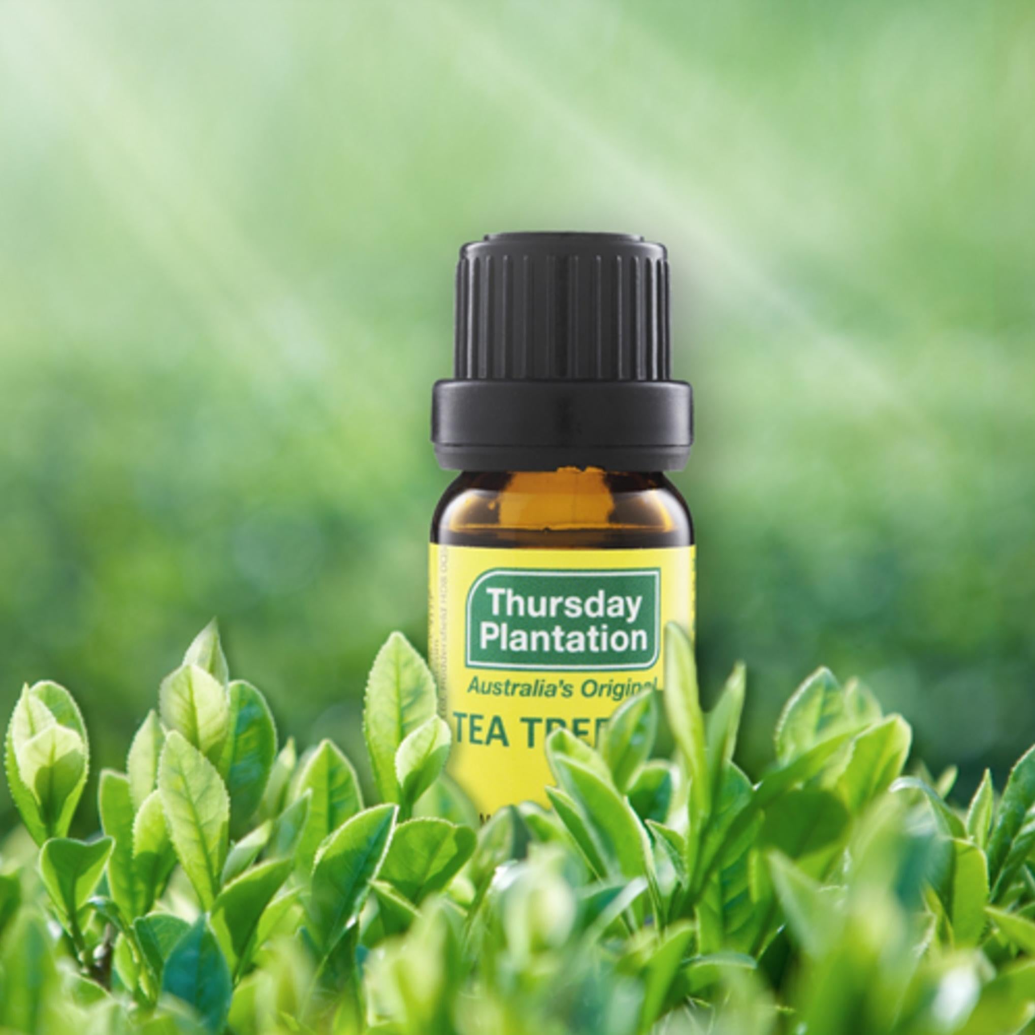 Óleo de Tea Tree 10ml + Espuma de Lavagem 150ml Conjunto de Presente