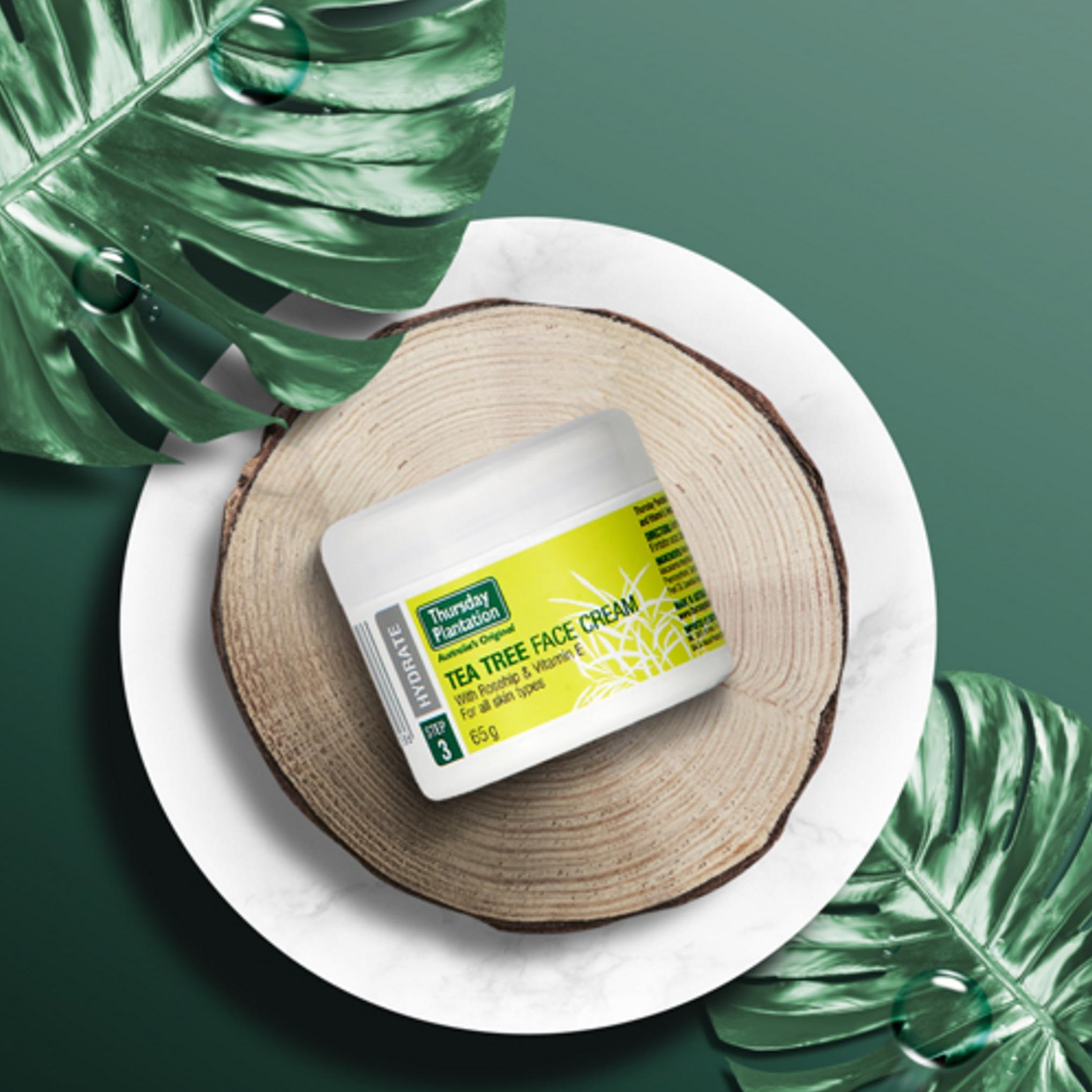 Conjunto Presente de Tónico de Hamamélis e Árvore do Chá 100ml + Creme Facial 65g