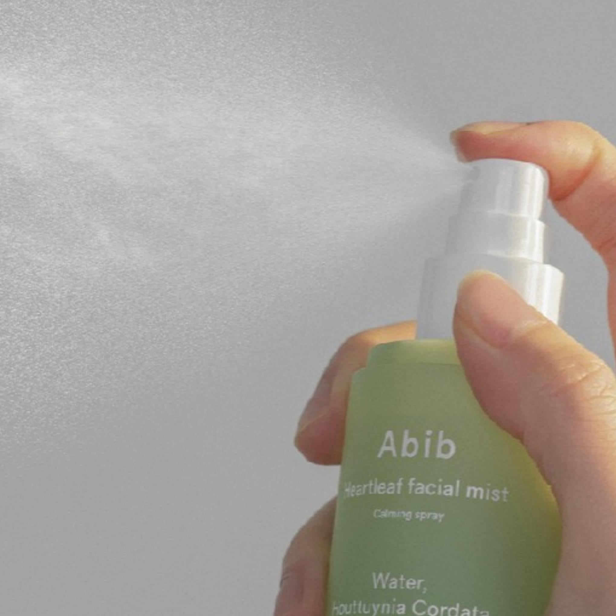 Abib Eoseongcho Facial Mist Calming Spray 150ml + Refill 150ml Set