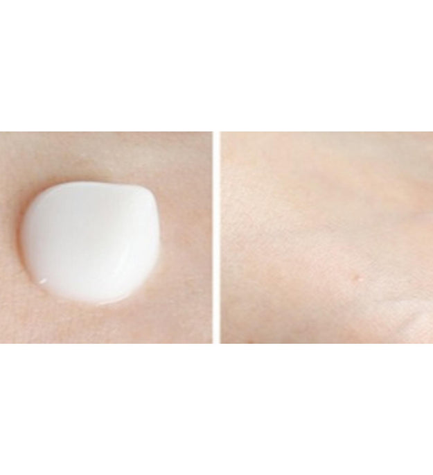 Scinic Snail Matrix Lotion Emulsion