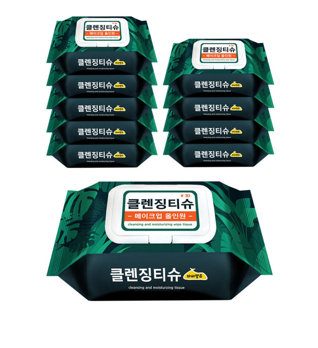 Haviange Home Industry Makeup All-in-One Cleansing Wipes Portable Cap Type