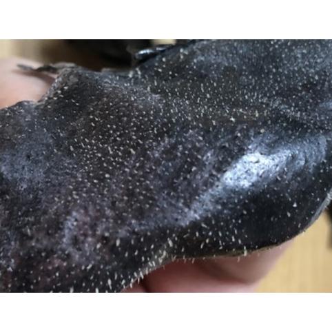 パパレシピ チャコールブラック ピールオフパック 50ml