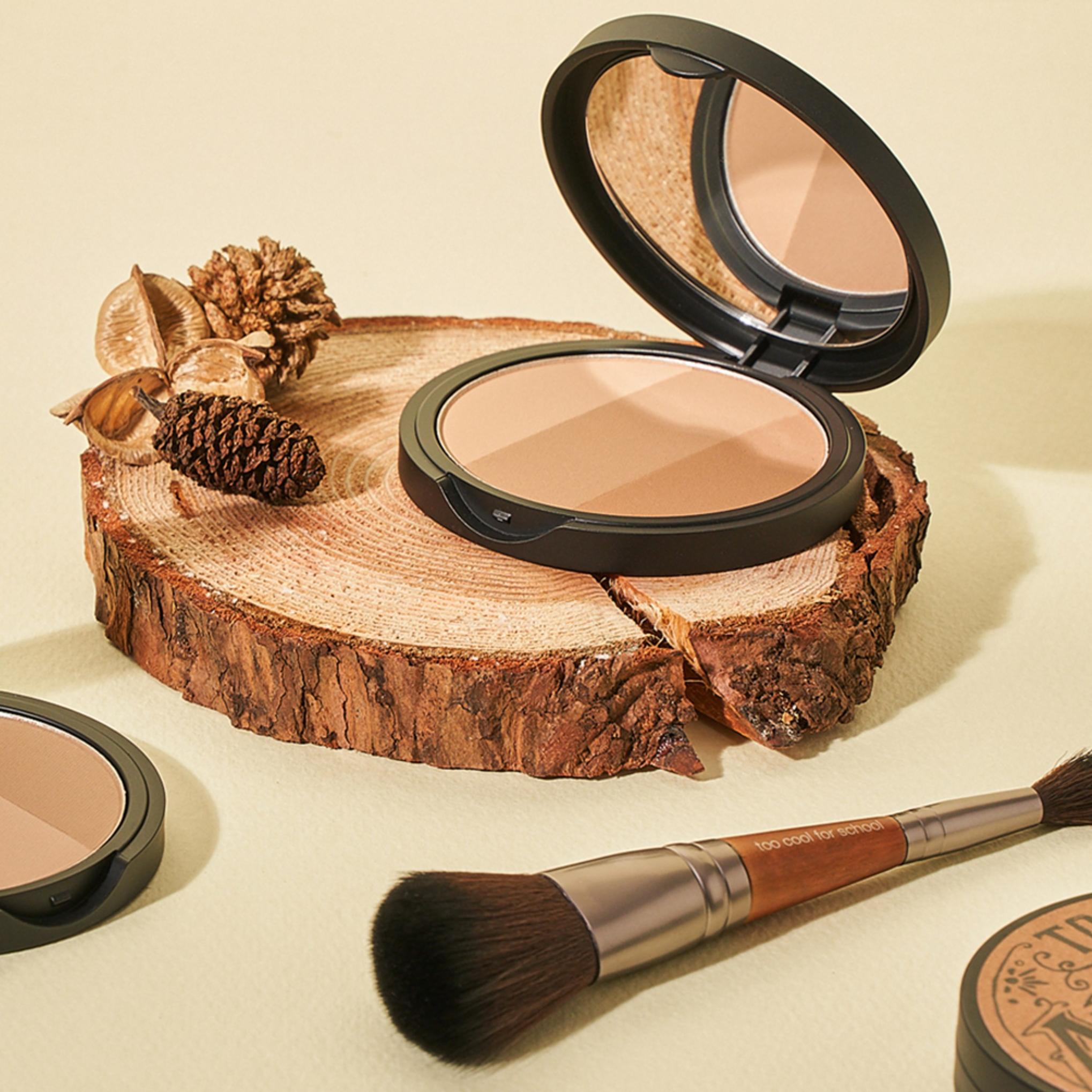 Too Cool For School Art Class от Rodin Растушевка 9,5 г + двойная кисть для контуринга