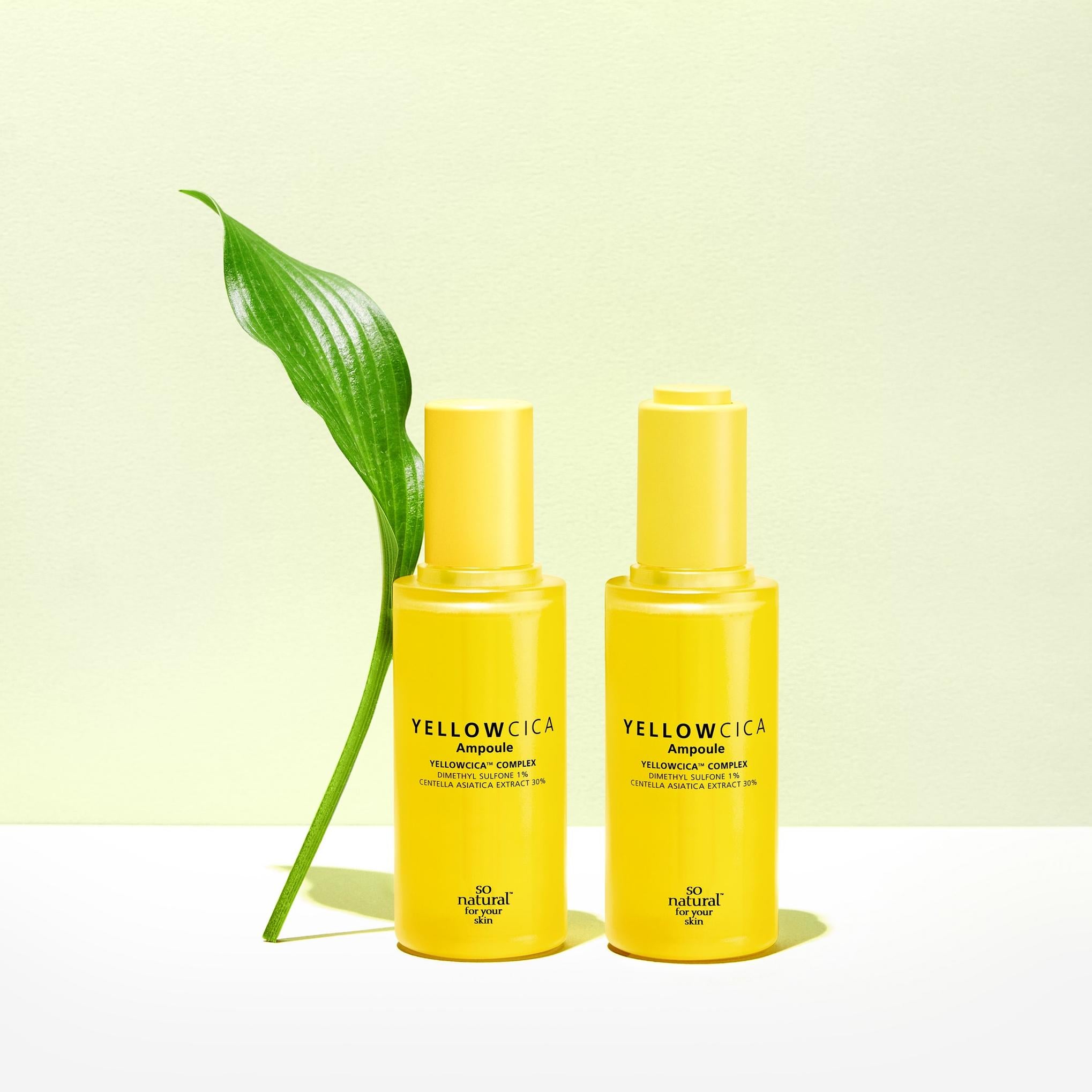 Натуральная желтая ампула с цикой